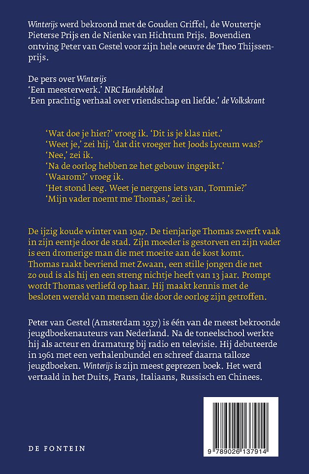 Winterijs