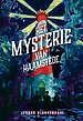 Het mysterie van Haamstede
