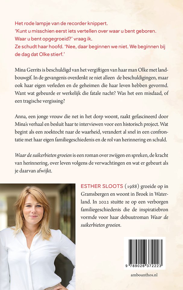 Waar de suikerbieten groeien