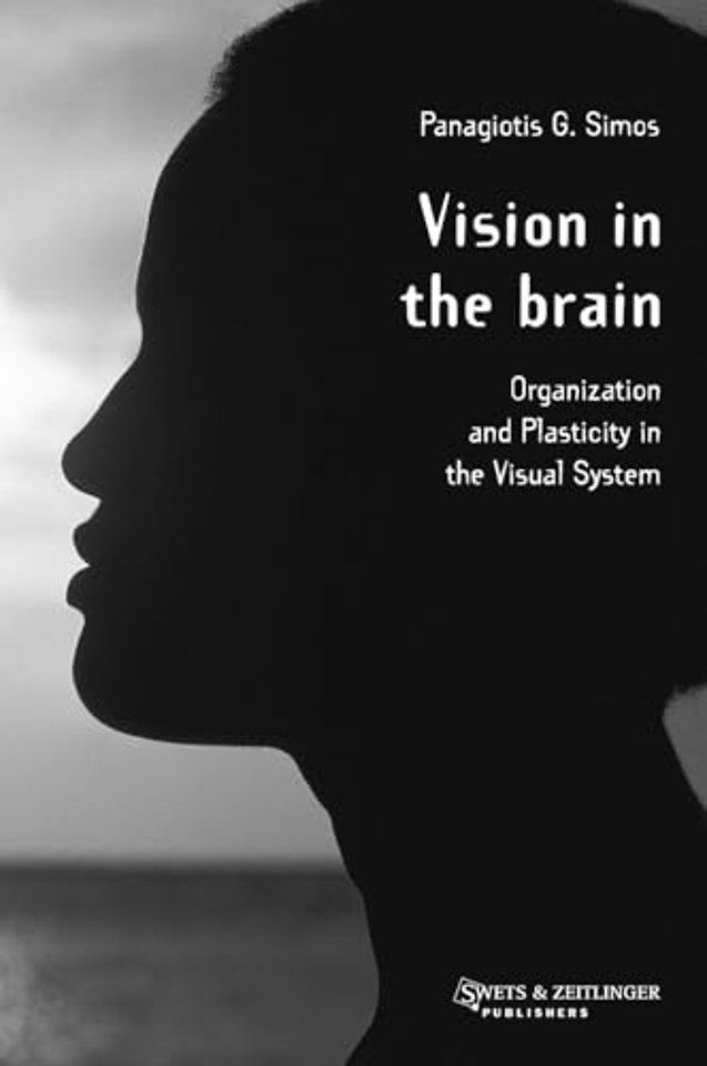 Vision in the Brain