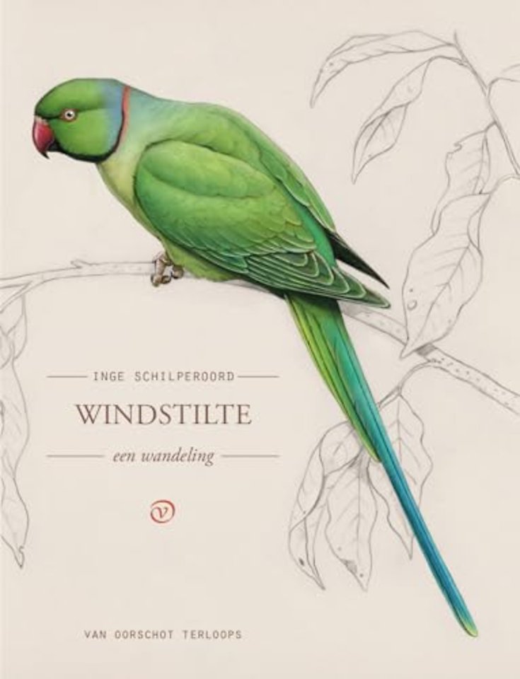 Windstilte