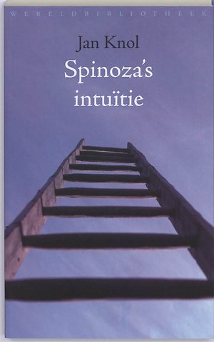 Spinoza's intuitie