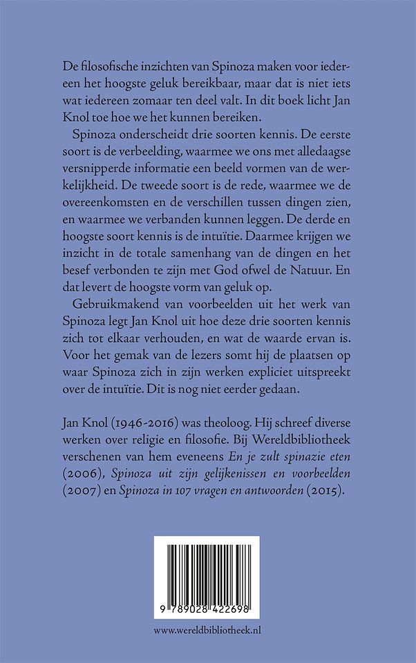Spinoza's intuitie
