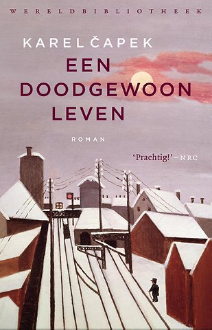 Een doodgewoon leven