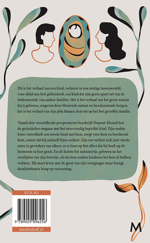 Wat de stenen ons vertellen