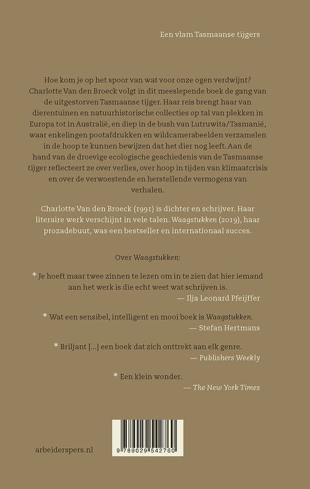 Een vlam Tasmaanse tijgers