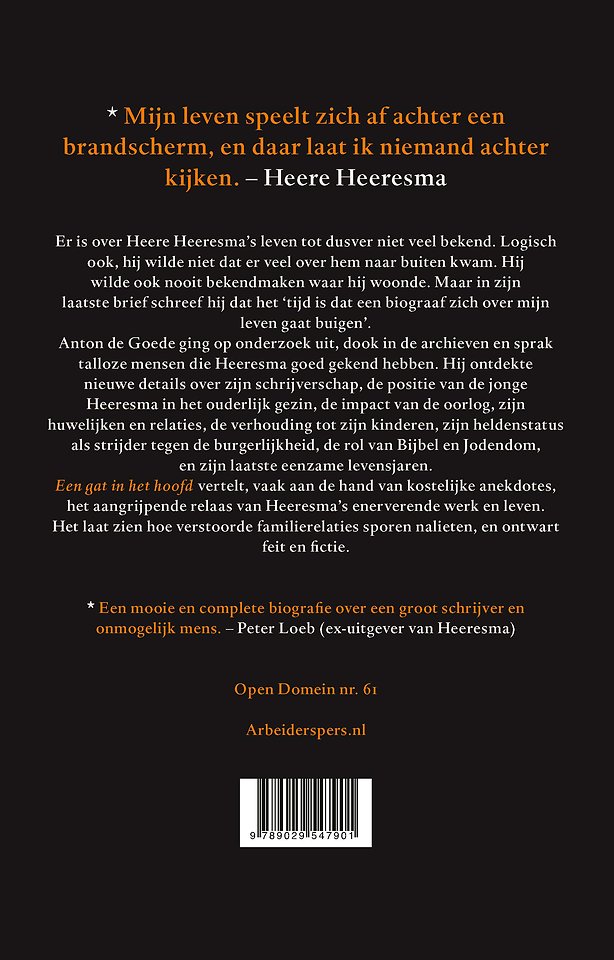 Een gat in het hoofd