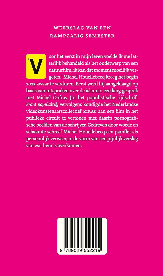 Een paar maanden van mijn leven