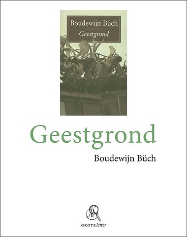 Geestgrond