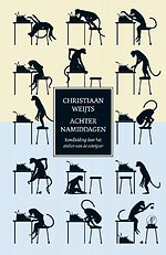 Achternamiddagen
