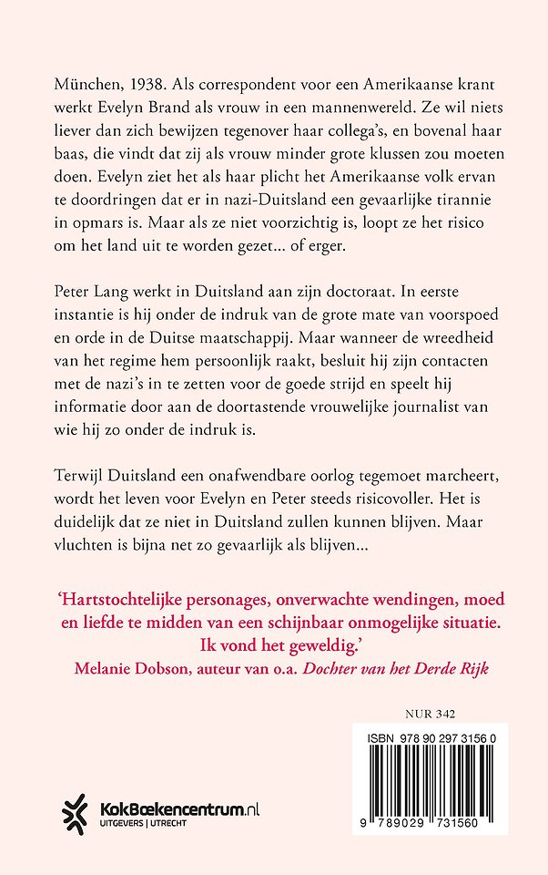 Sterren in de schemering