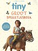 Groot spelletjesboek
