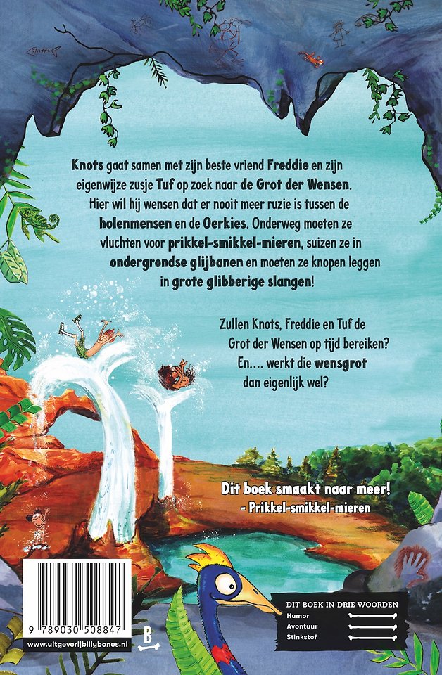 De grot der wensen