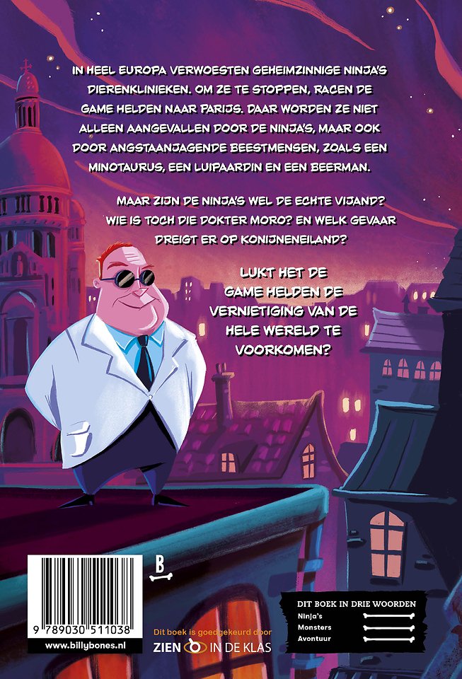 Game Helden tegen de ninja's