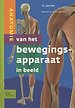 Anatomie van het bewegingsapparaat in beeld