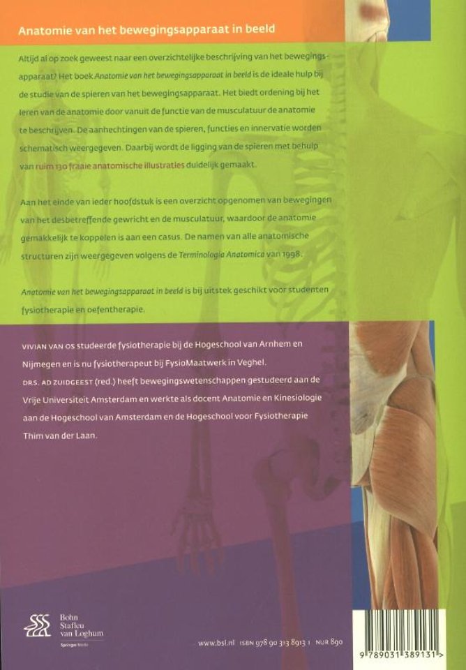 Anatomie van het bewegingsapparaat in beeld