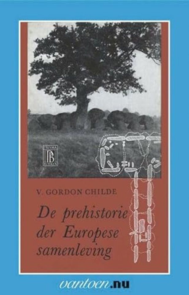 Prehistorie der Europese samenleving