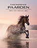 Fascinerende paarden