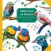 Vogels van de wereld - Kleuren op nummer