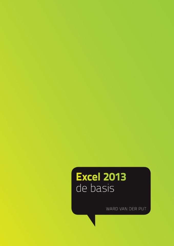 Excel 2013 - de basis
