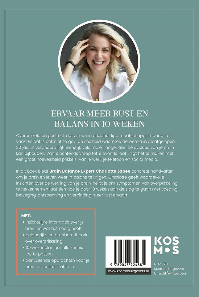 Overprikkeld Brein