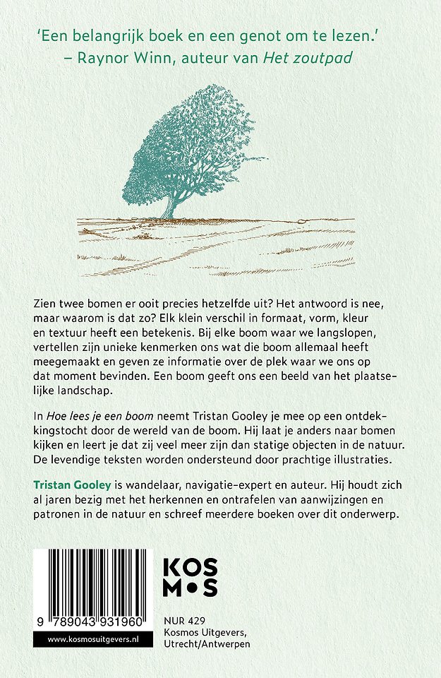 Hoe lees je een boom