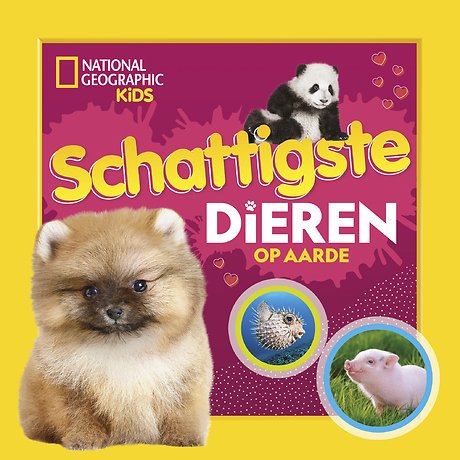 Schattigste dieren op aarde