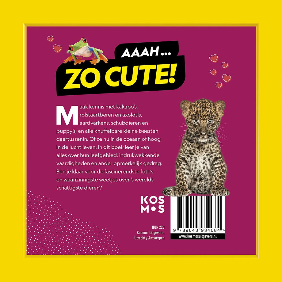 Schattigste dieren op aarde