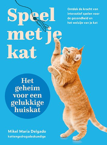 Speel met je kat: het geheim voor een gelukkige huiskat