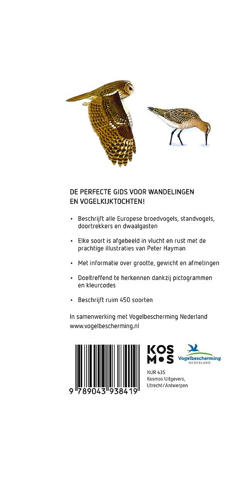 Hayman's zakgids Vogels