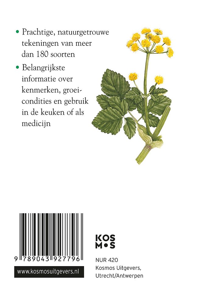 Compactgids Kruiden