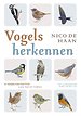 Vogels herkennen