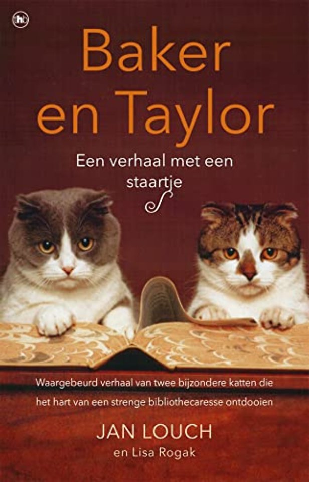 Twee katten in de bibliotheek