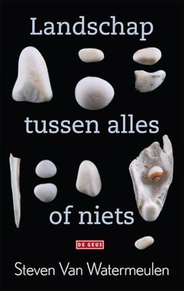 Landschap tussen alles of niets