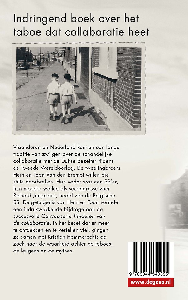 Het verdriet van Vlaanderen