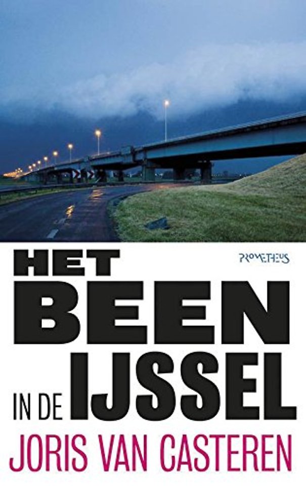 Het been in de IJssel