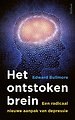 Het ontstoken brein Het ontstoken brein