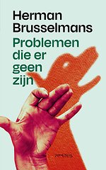 Problemen die er geen zijn