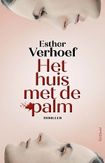 Het huis met de palm