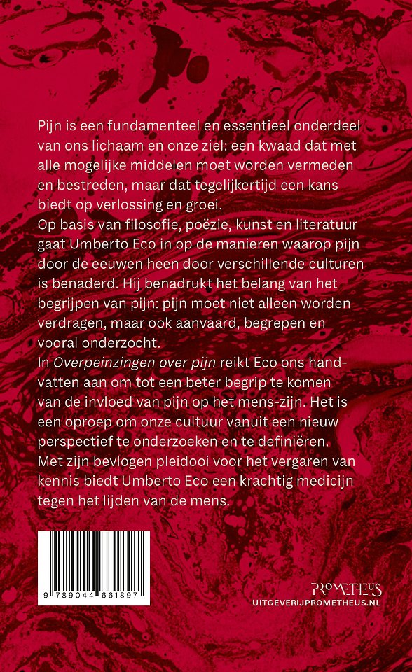 Overpeinzingen over pijn