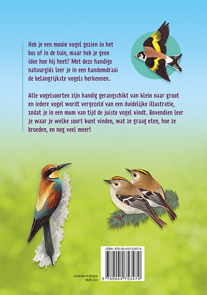 Vogels herkennen en observeren