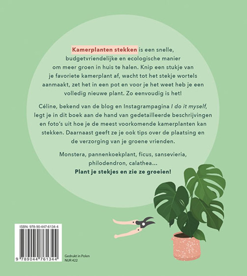 Kamerplanten stekken