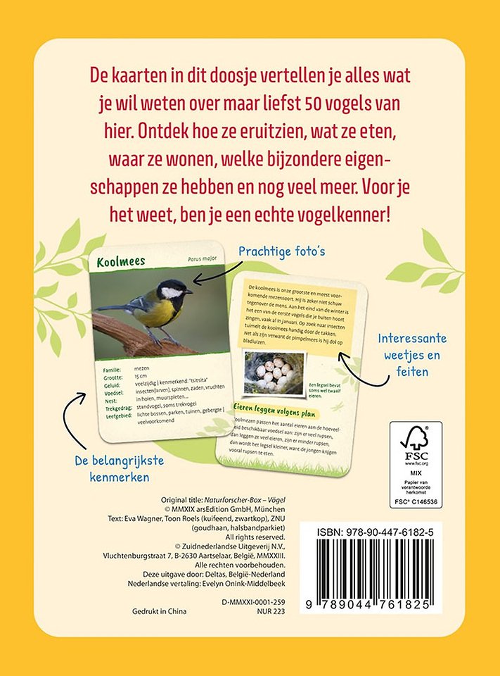 Vogels ontdekken en herkennen