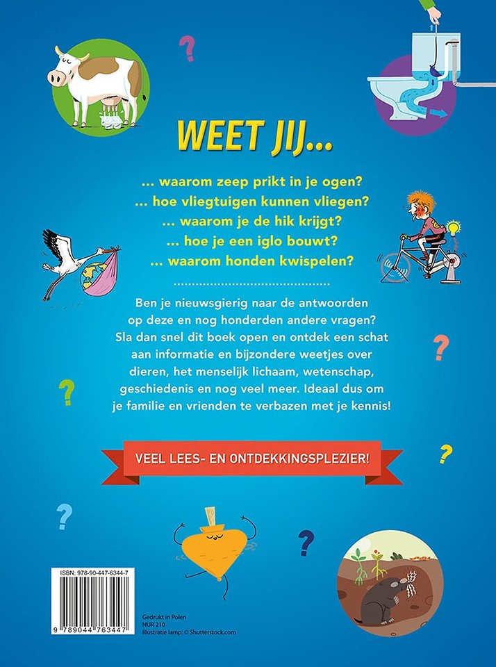 Hoe? Wat? Waarom?