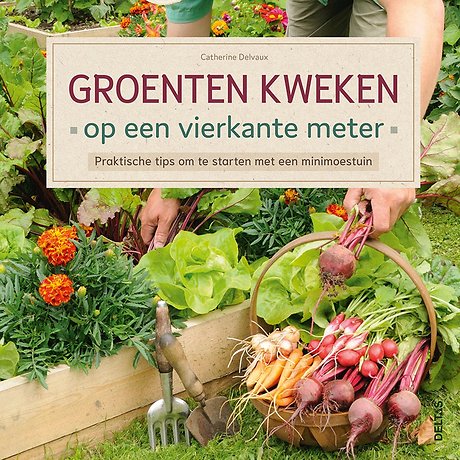 Groenten kweken op een vierkante meter
