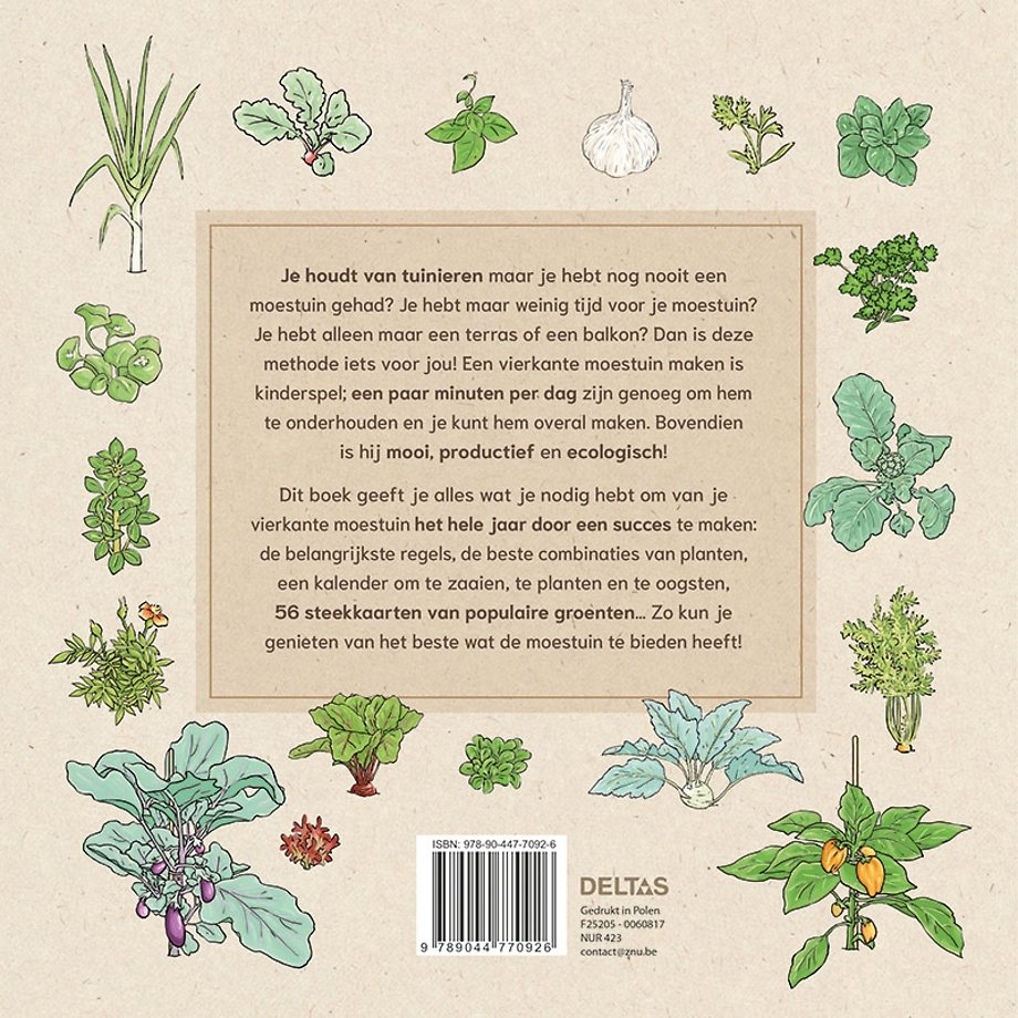 Groenten kweken op een vierkante meter