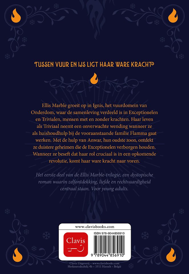 De bevroren vlammenzee