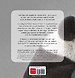 De reuzenpanda. Welkom thuis, Bao Mei