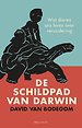 Het geheim van de schildpad