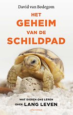 Het geheim van de schildpad